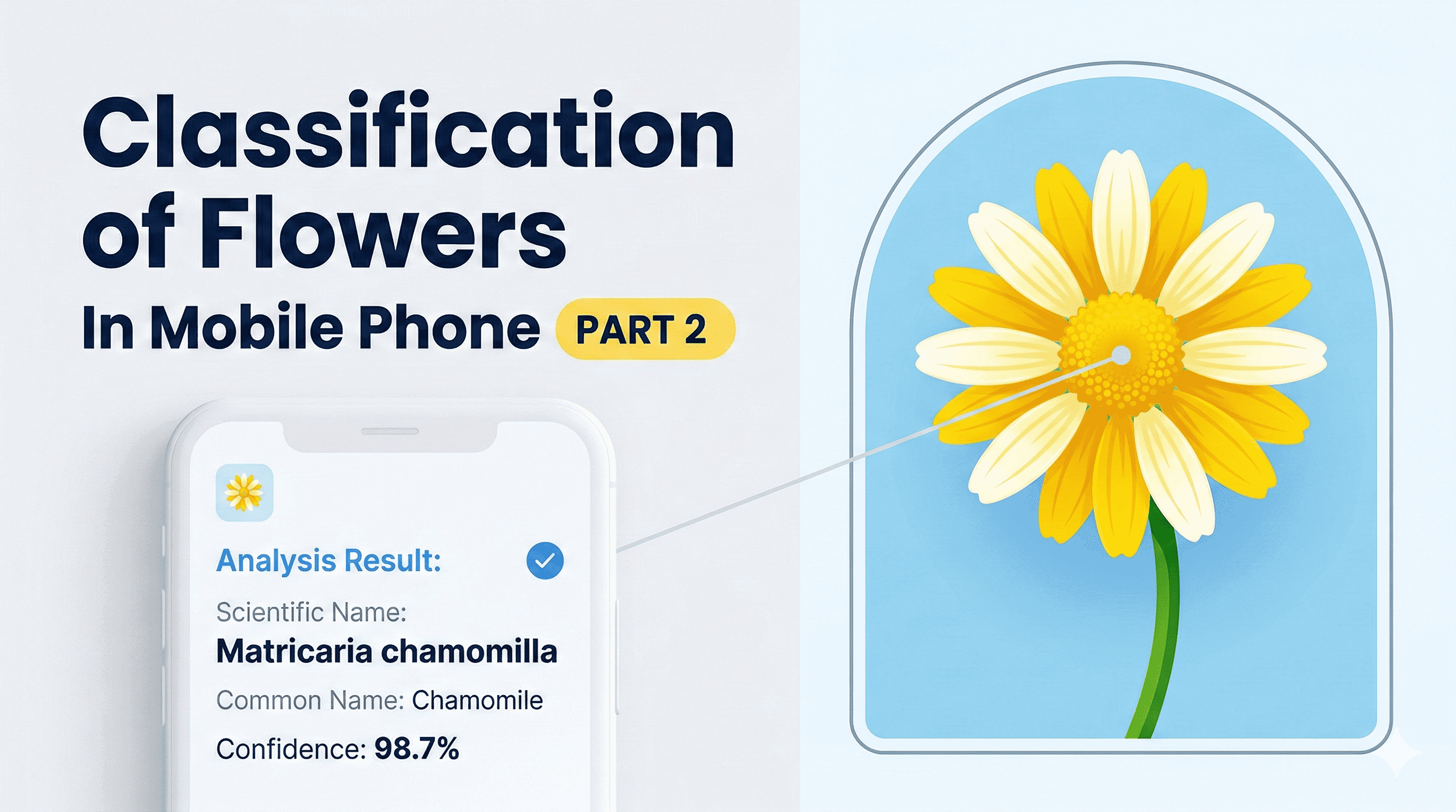 Classification of Flowers In Mobile Phone ( PART 2)